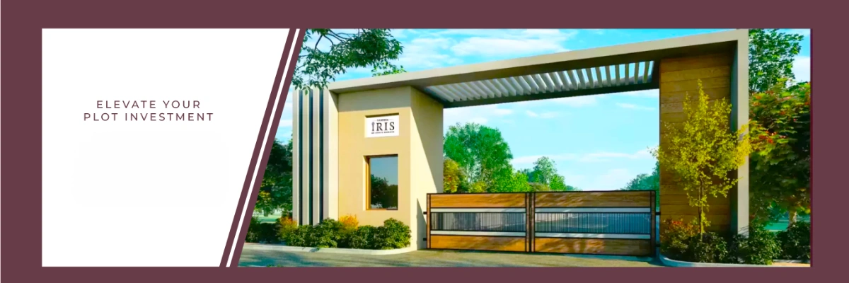 Sameera Iris Banner Image